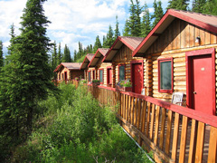 Iditarod