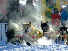 yukonqueststart